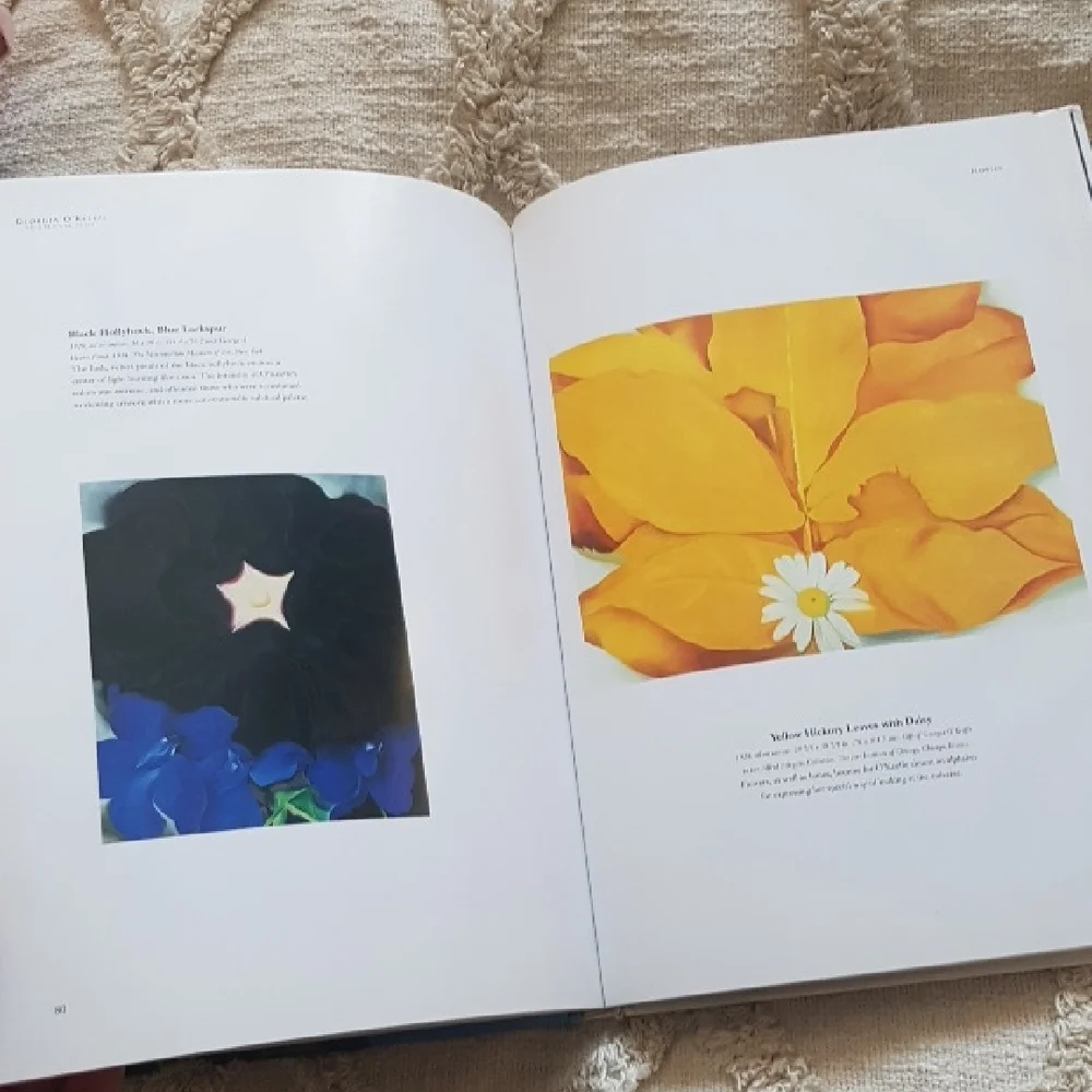 Georgia O'Keeffe: An Eternal Spirit by Susan Wright art book - Picture 6 of 12